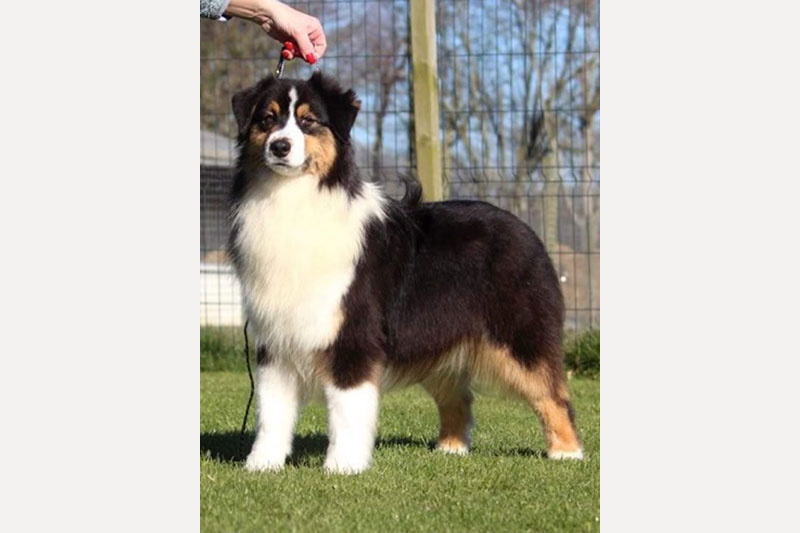 ROXY（ロキシー）