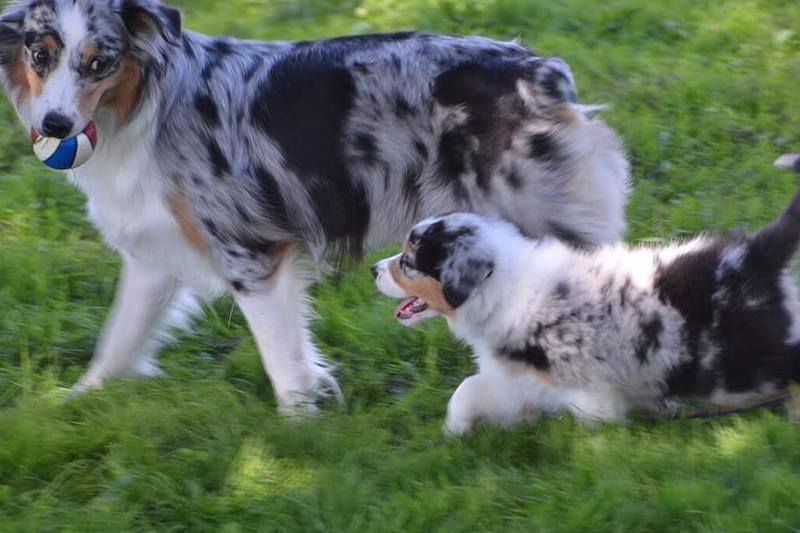 お引渡し後も責任を持ってサポートいたします