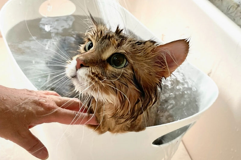 健康管理など気を付けること